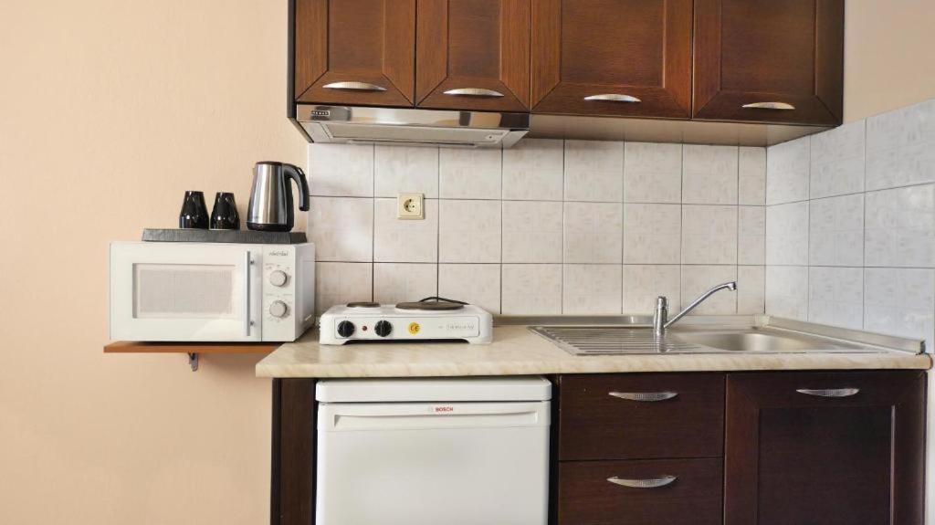 House Chrysoula Mitsokopi Appartement Sarti Buitenkant foto